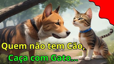 DITADO POPULAR QUEM NÃO TEM CÃO CAÇA GATO Qual é o seu