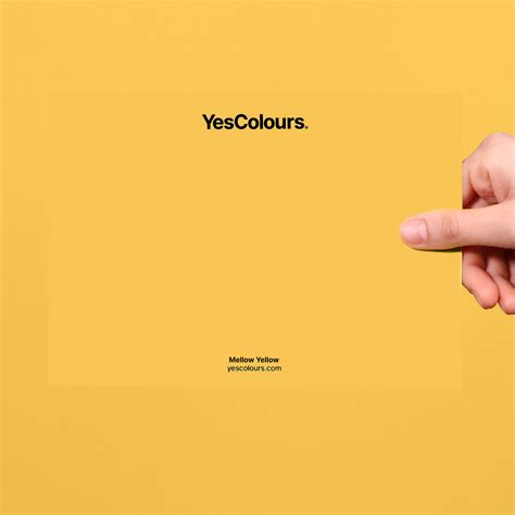 YesColours | Our Paint Swatches