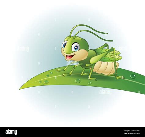 Cartoon Grasshopper On Leaf Stock Vector Image Art Alamy