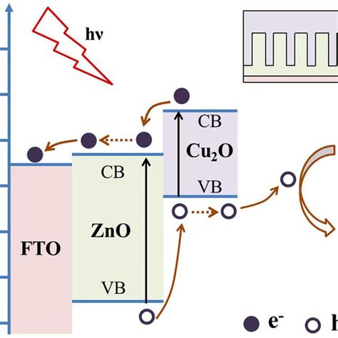 Illustration Of The Pec Mechanism For Gsh Biosensing At Cu O Zno Nrs