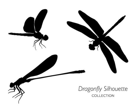 Premium Vector Vector Collection Of Dragonfly Silhouette Isolated On