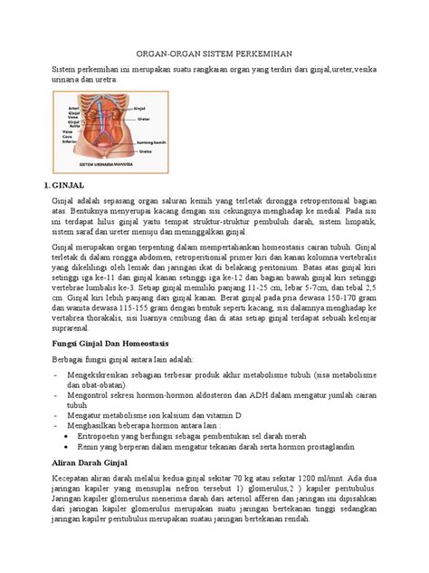 Organ Organ Sistem Perkemihan Pdf