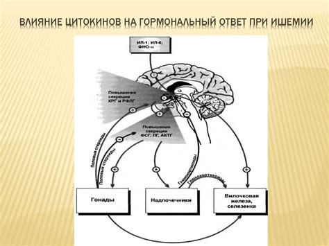 Гипоксия. Классификации высотной гипоксии - презентация онлайн