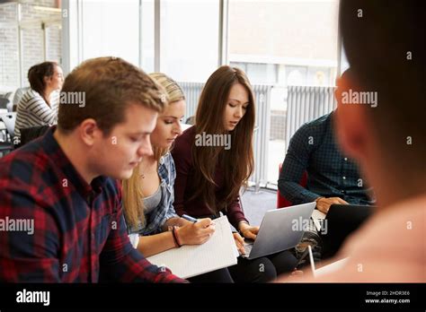 Teamwork Learning Group Teamworks Learning Groups Stock Photo Alamy