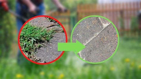 Fini les mauvaises herbes dans le jardin avec ce remède naturel et