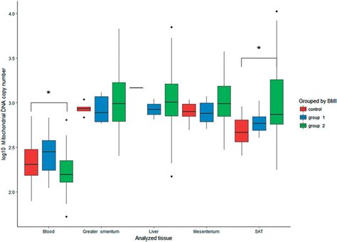 The Comparison Of Log Mtdna Copy Numbers Between Different Tissues