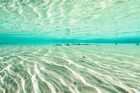 Reflection Of Light In Water