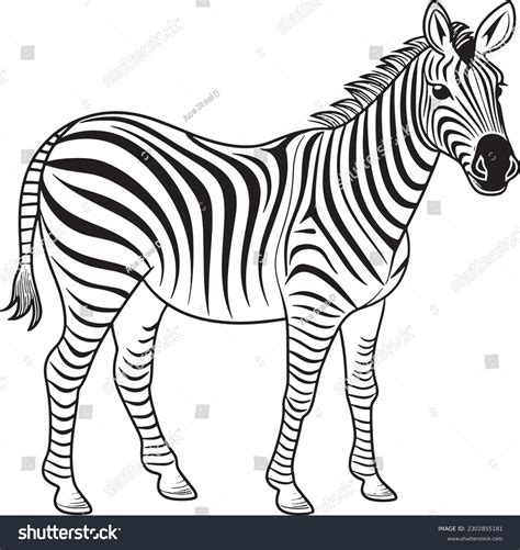 Zebra Clipart For Kids