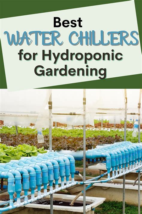 Hydroponic Nutrients Solution Making Perfect Liquid Fertilizer Artofit