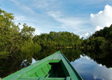 Top 5 Peruvian Amazon Traveler Delusions - Class Adventure Travel