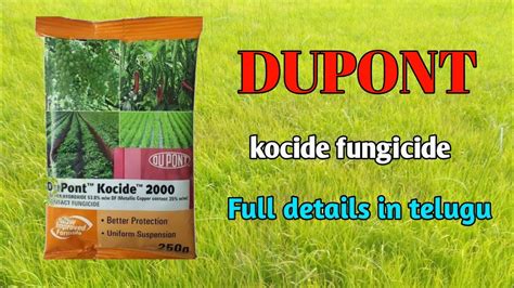 Dupont Kocide Fungicide Full Details In Telugu Dupont Kocide Copper