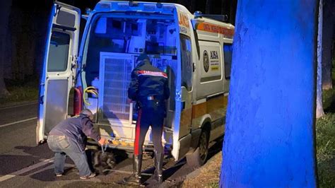 Fotogallery Piacenza Clochard Eroe Muore Nel Rogo Del Suo Container