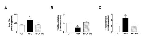 Effects The Mitochondrial Antioxidant Mitoq Mq On Mitochondrial Lipid