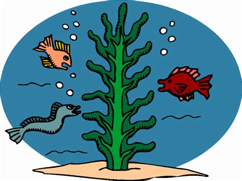 Free Sea Life Clip Art