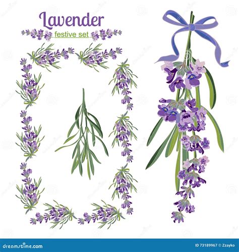 Set Festive Frames And Elements With Lavender Flowers For Greeting Card