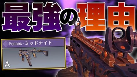 Codモバイル フェネックが環境武器な理由分かりましたこのカスタムやばいんだが Youtube