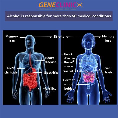 How Does Alcohol Impact Health