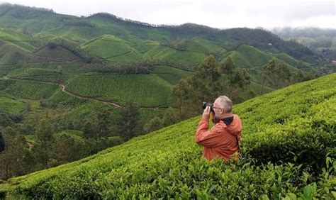 Munnar Trekking Adventure Qué Saber Antes De Ir 2024