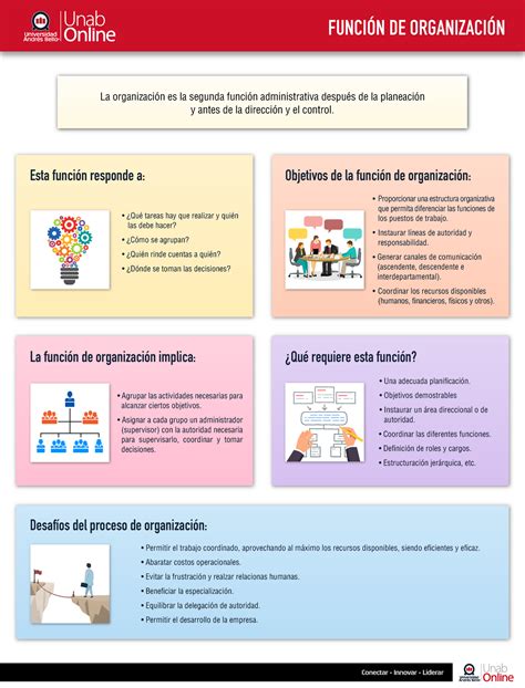 Iaea S Infografia Funcion Organizacion Funci N De Organizaci N La