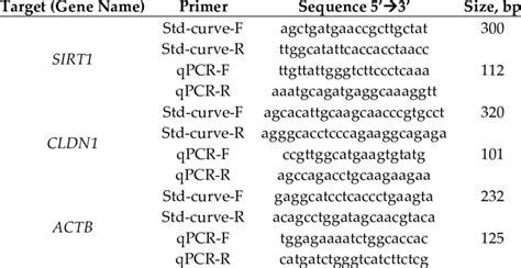 Primer Sequences For Real Time Polymerase Chain Reaction Rt Qpcr