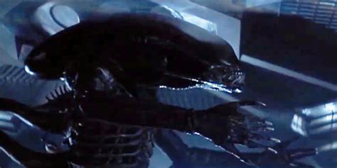 Alien Xenomorph 1979