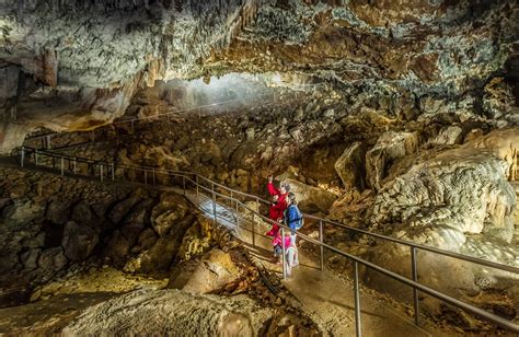 Nsw Karst Conservation Reserves Nsw National Parks