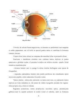 Ochiul Proiect Docx