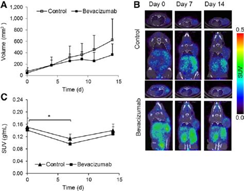 Bevacizumab Treatment Of Fadu Tumors A Growth Curves Of Controls And