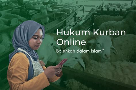 Bagaimana Hukum Kurban Online Dalam Islam Bahagia Berkurban