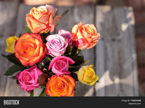 What does rainbow color roses mean – The Meaning Of Color