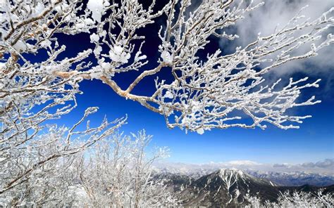 冬の栃木は幻想的♪おすすめwinterスポットへ行ってみよう Aumo[アウモ]