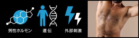 毛深い男性の原因を3つ解説自宅でできる対策やプロによる脱毛も お役立ち情報 東京恵比寿のメンズ脱毛サロンアロンソ