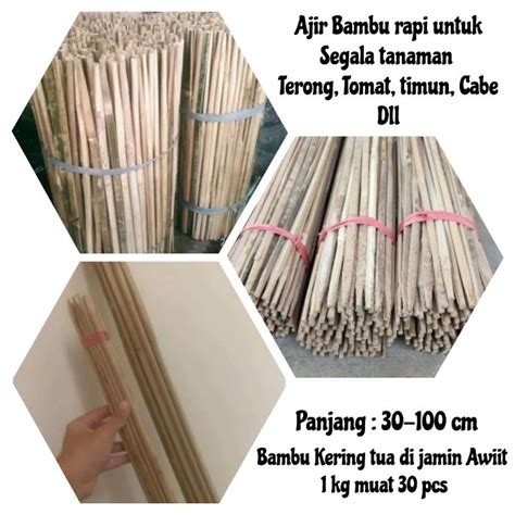 Jual Bilah Bambu Ajir Rapi Untuk Segala Tanaman Pj Cm Shopee