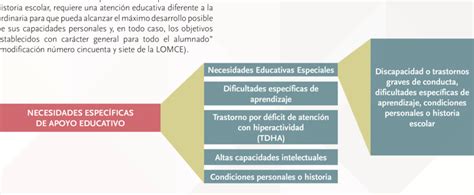 Esquema sobre las Necesidades Específicas de Apoyo Educativo NEAE