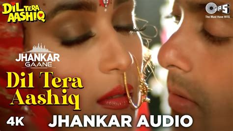 Dil Tera Aashiq Jhankar Salman Khan Madhuri Dixit Kumar Sanu Alka Yagnik 90s Love Song