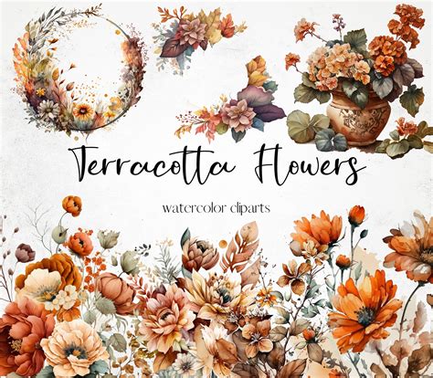 Watercolour Terracotta Flowers Clipart Autumn Flowers Boho Etsy