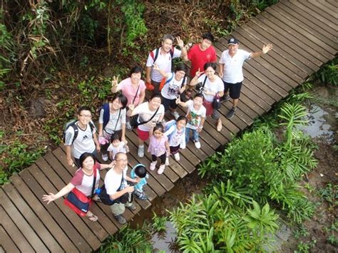 Adventures With The Naked Hermit Crabs Families Enjoying Chek Jawa Boardwalk