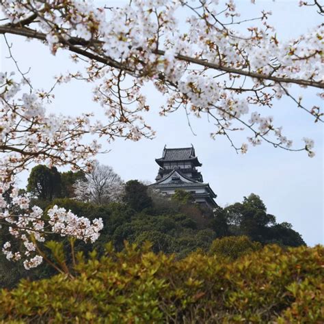 Inuyama Castle: Japan's Oldest Surviving Castle