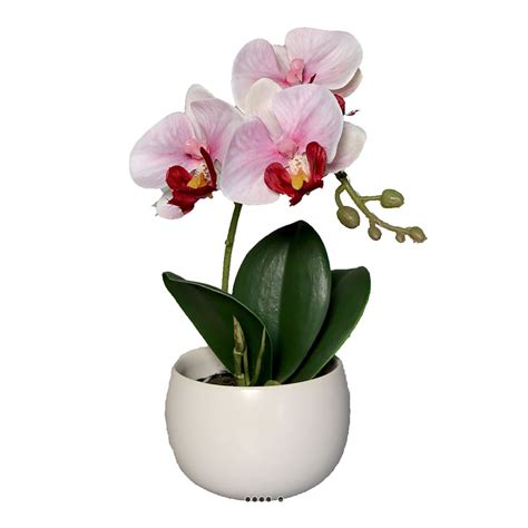 Jolie Fausse Orchid E En Pot Cm Artificielles