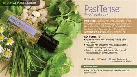 Pasttense Tension Blend Doterra Essential Oils Essential Oil