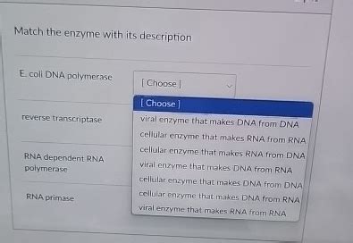 Solved Match The Enzyme With Its DescriptionE Coli DNA Chegg