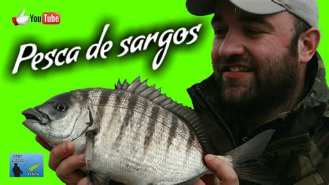 Pesca De Sargos A Boya Asturias Y Galicia YouTube