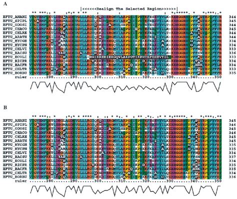 Figure 1 From The CLUSTAL X Windows Interface Flexible Strategies For