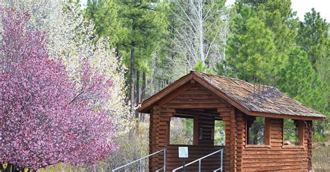 Donors T Assures The Future Of Woodland Lake Park Pinetop