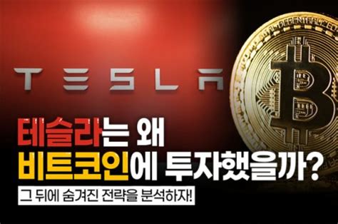 도기자의 한 주 정리 테슬라는 왜 비트코인에 투자했을까 네이트 뉴스