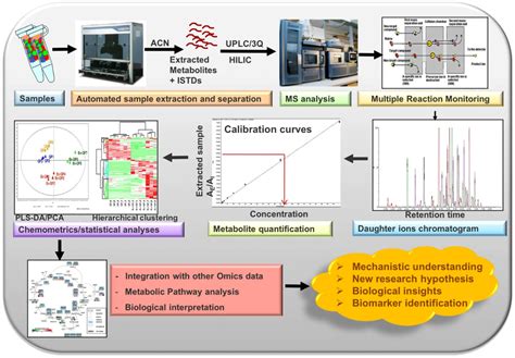 Metabolites Free Full Text Validation And Automation Of A High