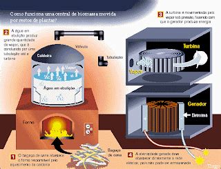 Energias Ap Energia Biomassa