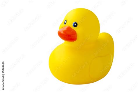 Plastic Yellow Duck Toy Isolated On White Background Stock Photo