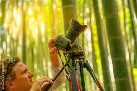 Nature Photographer Photographing Giant Bamboo Forest At Sunset In Take