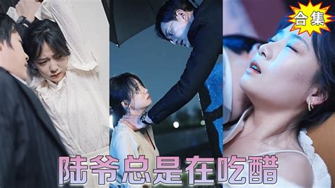 一场车祸，他对她恨之入骨，让她在陆家受尽折磨。雨中她抬头看着他，“陆青城，你到底要我怎样？我把命给你够不够？”后来他把刀插进自己的身体，“苏遥，我把命给你，原谅我好不好？《陆爷总是在吃醋